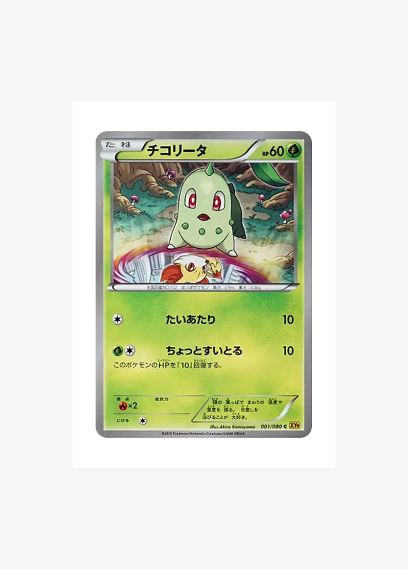 チコリータ
