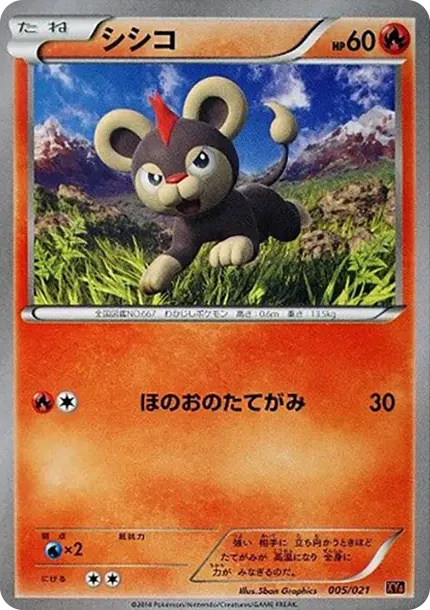 Litleo