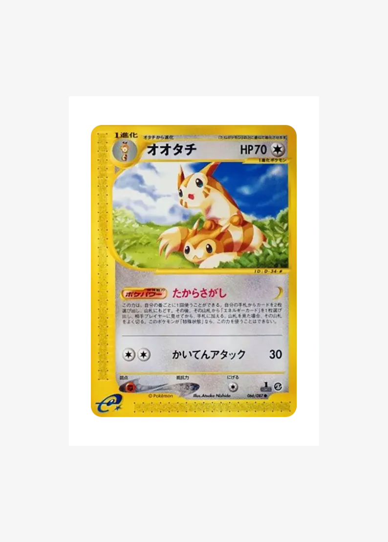 Furret :1ED