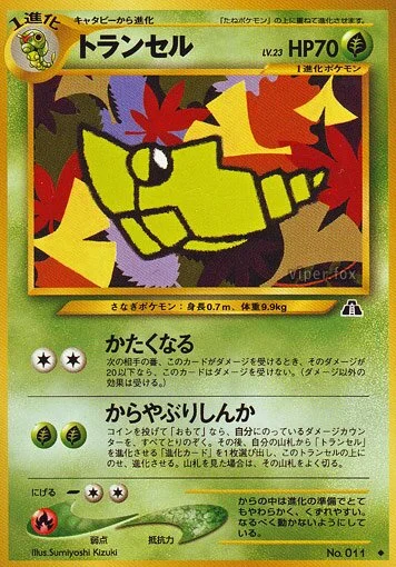 단데기