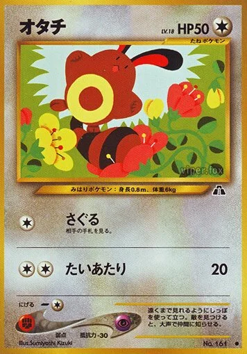 꼬리선