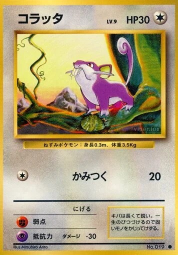 꼬렛
