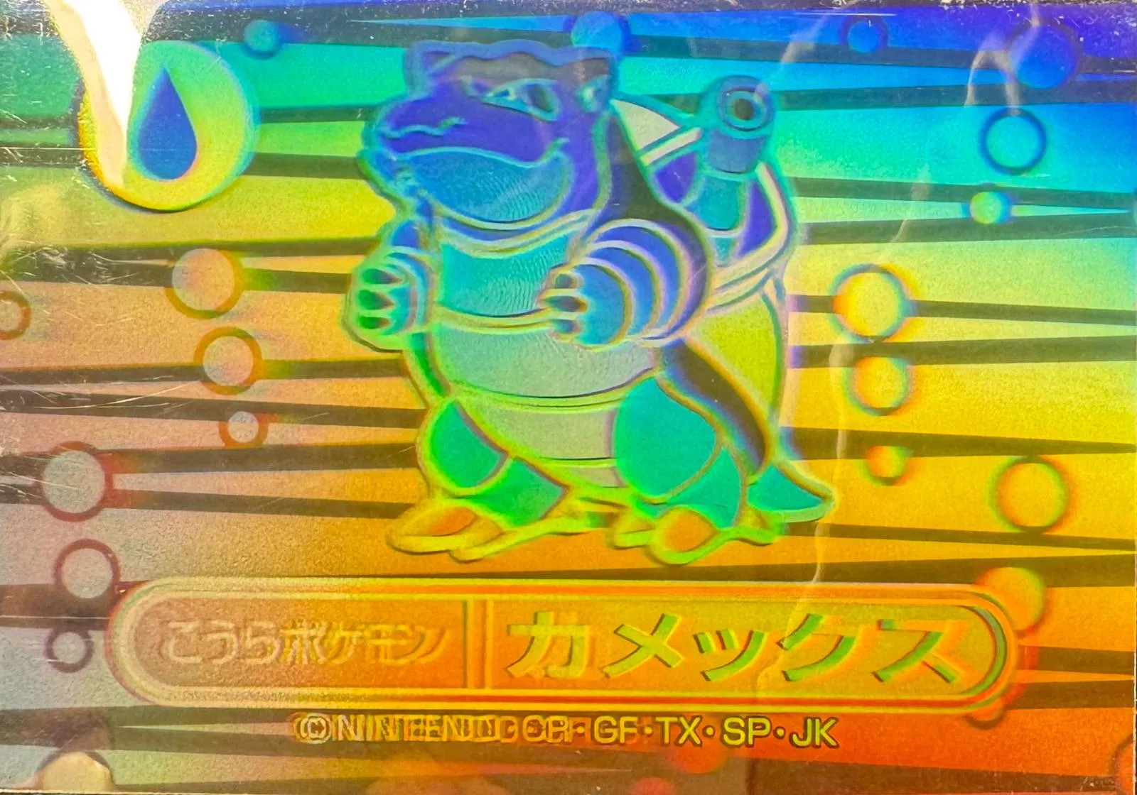 거북왕 [Rainbow]