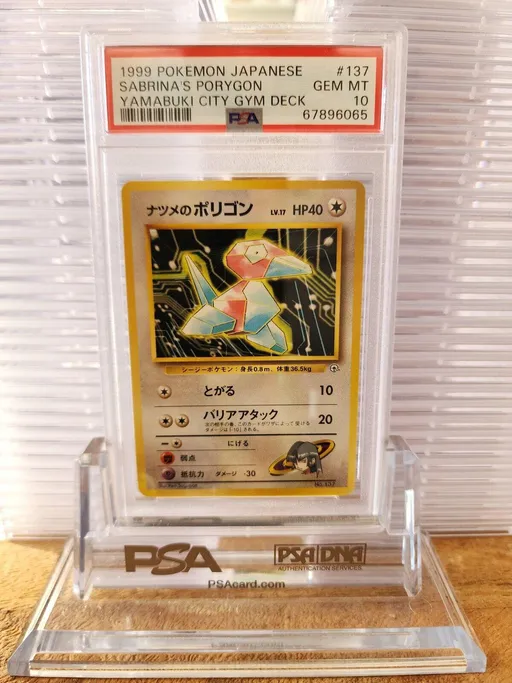 Sabrina's Porygon