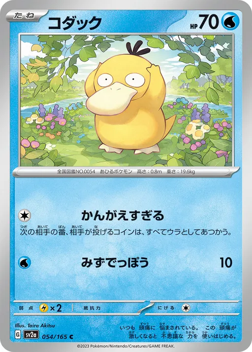コダック ●