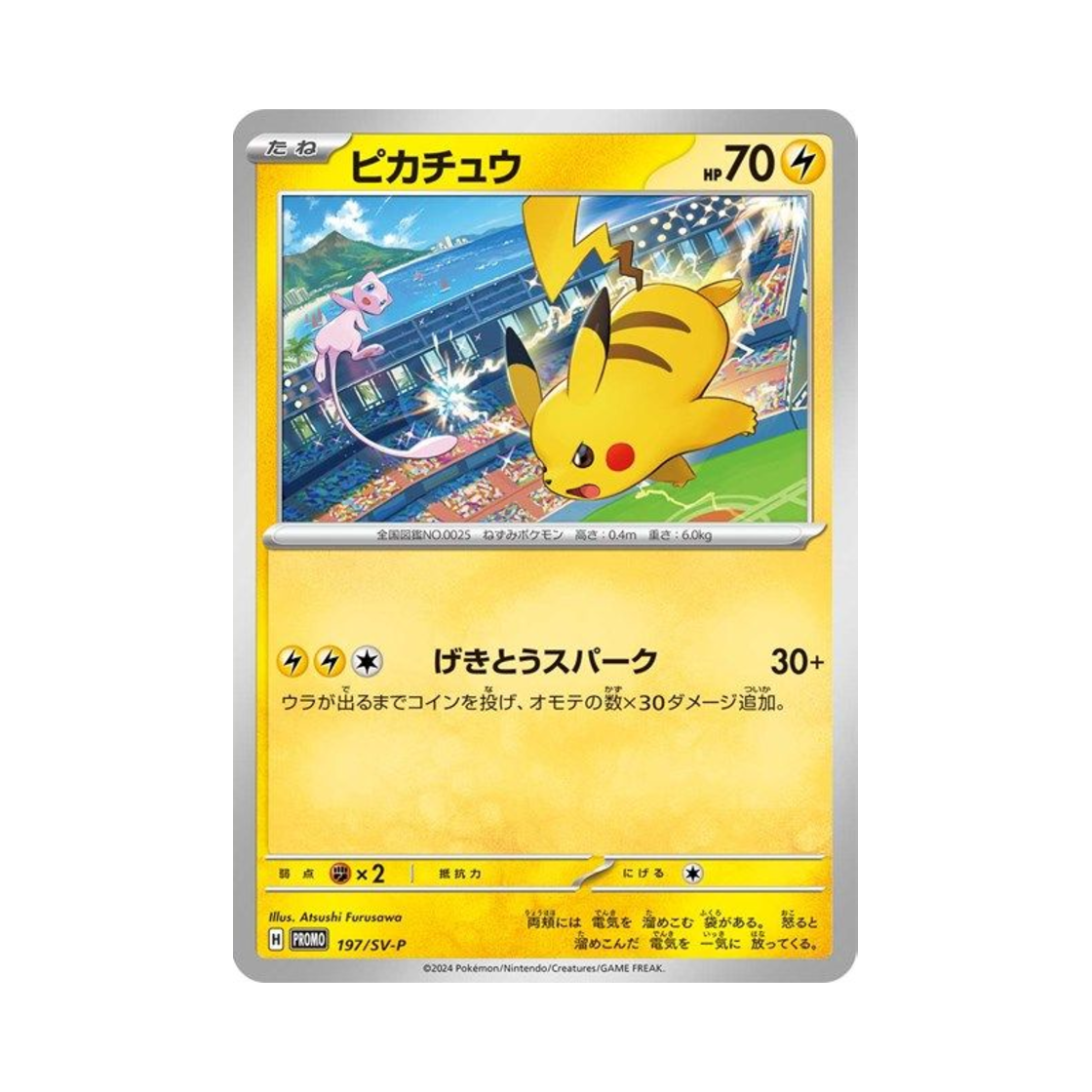 Pikachu Gym Promo 3