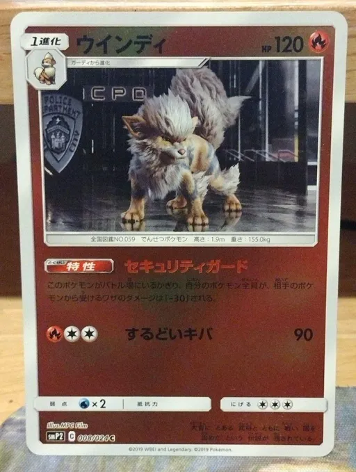 윈디
