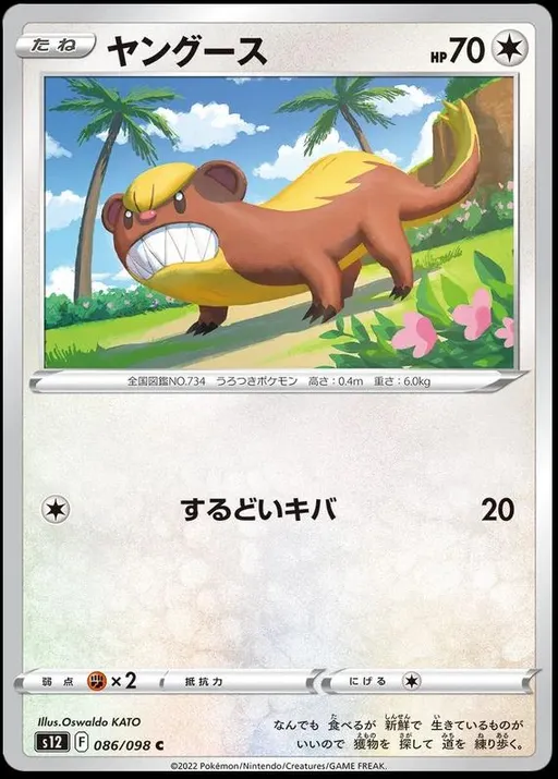 ヤングース