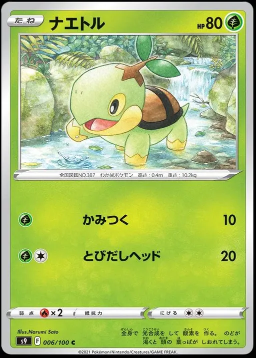 Turtwig