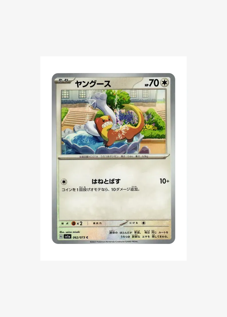 ヤングース