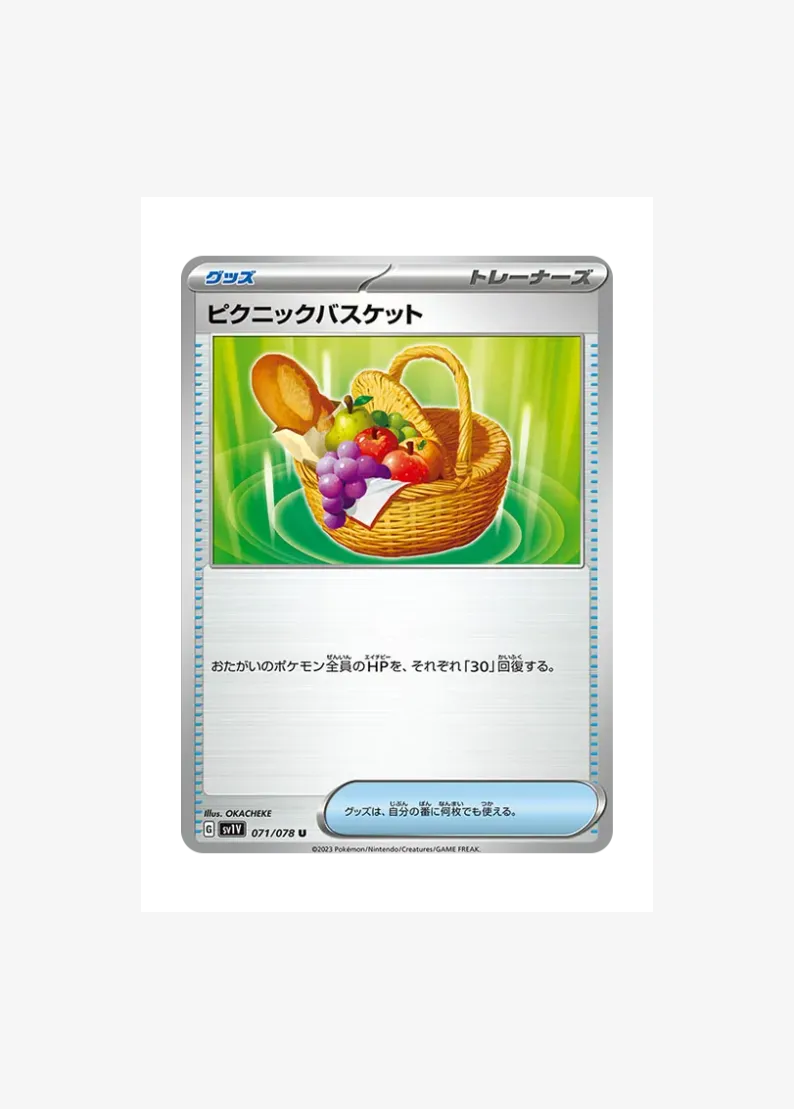 Picnic Basket