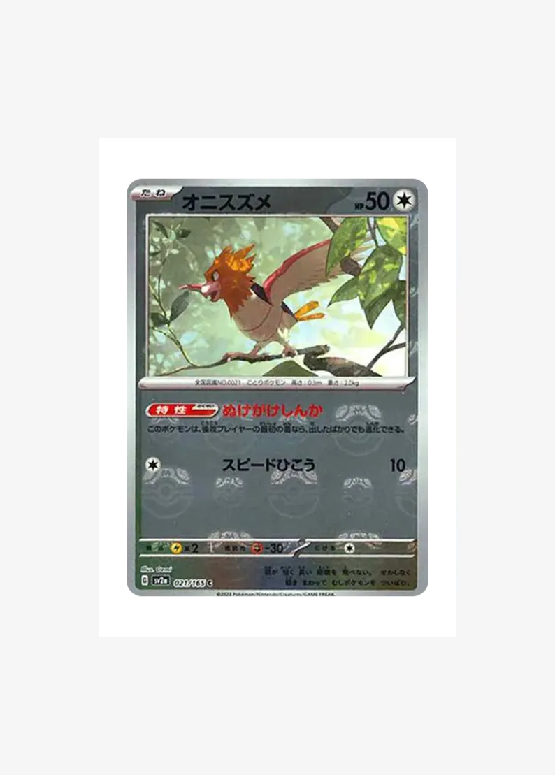 Spearow