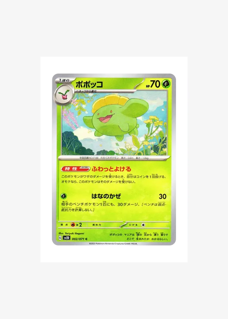Skiploom