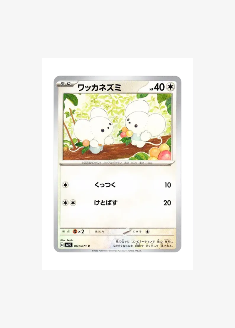 ワッカネズミ