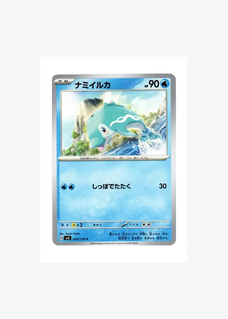 ナミイルカ