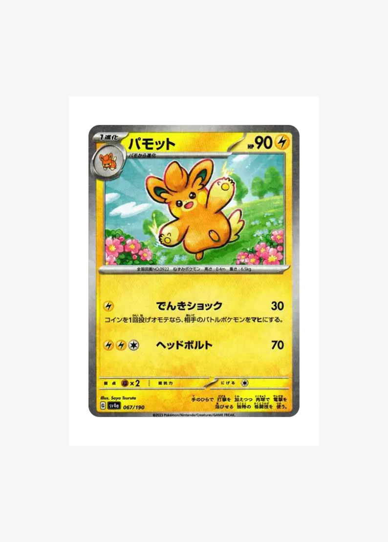 Pawmo