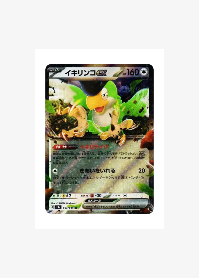 Squawkabilly ex