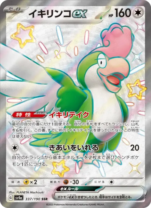 시비꼬 ex