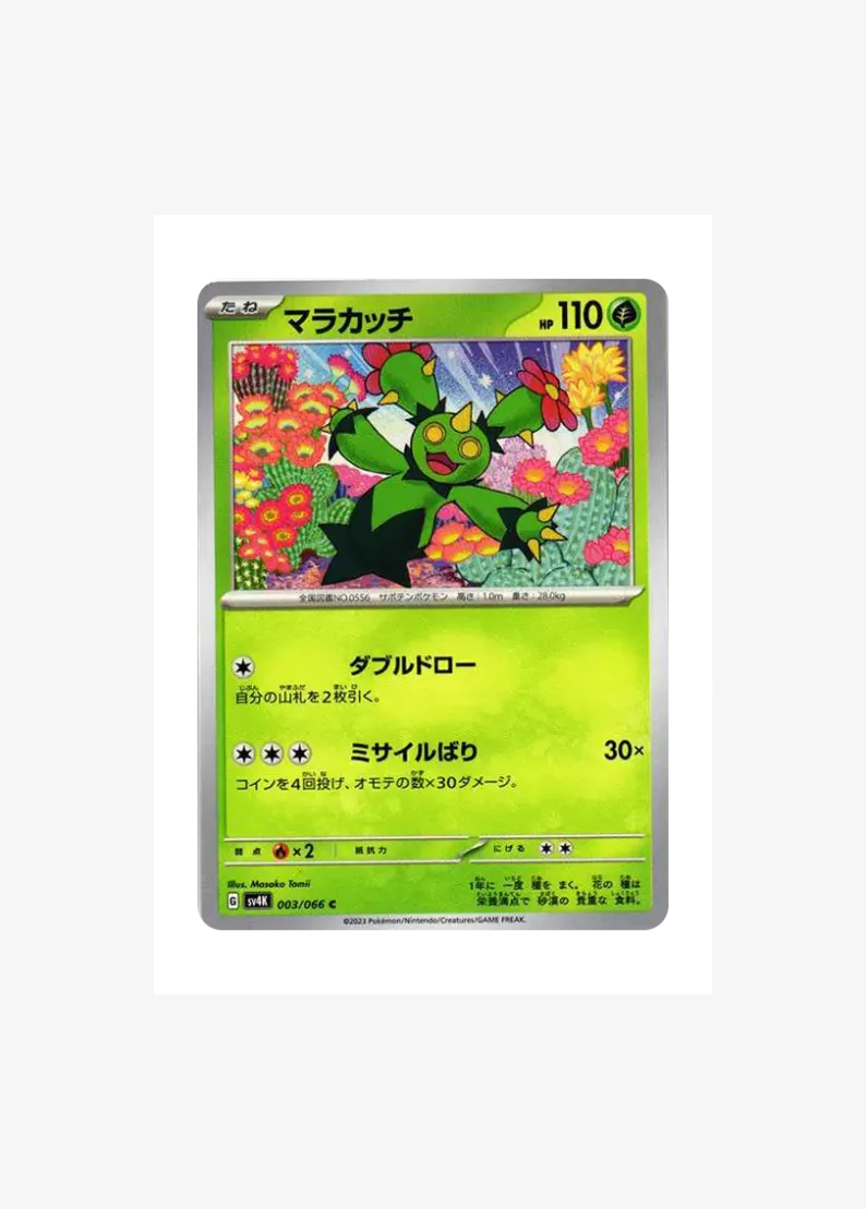 Maractus