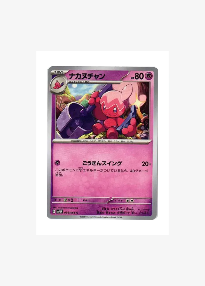 ナカヌチャン