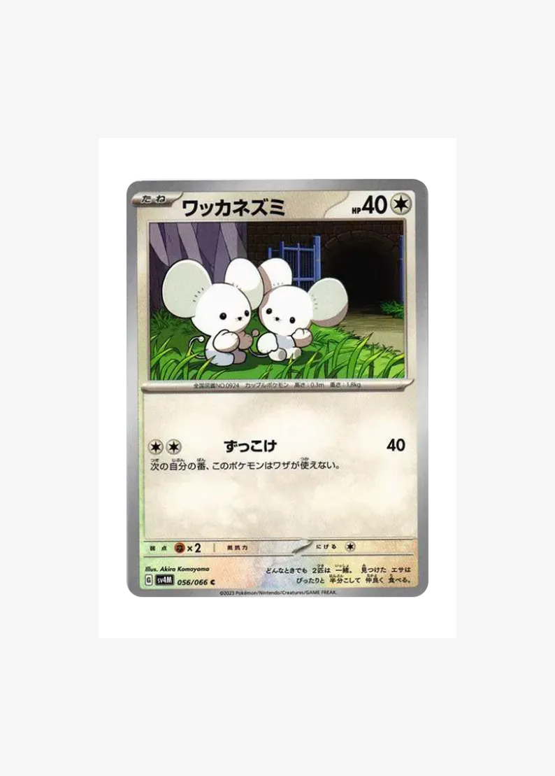 ワッカネズミ