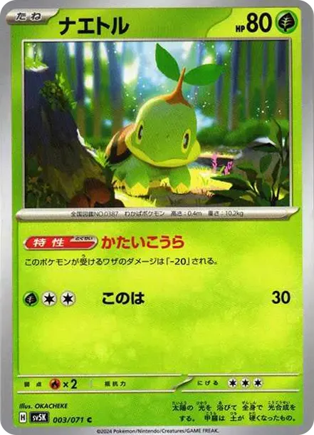 Turtwig