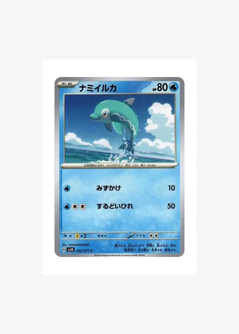 ナミイルカ