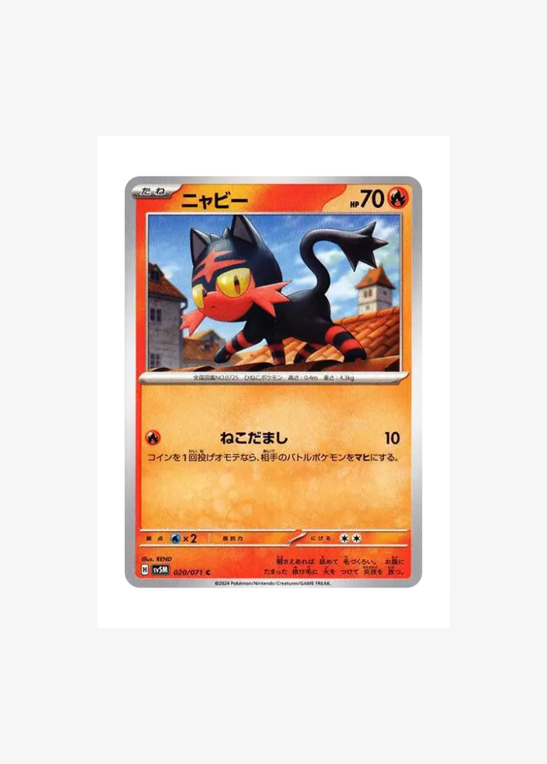 Litten