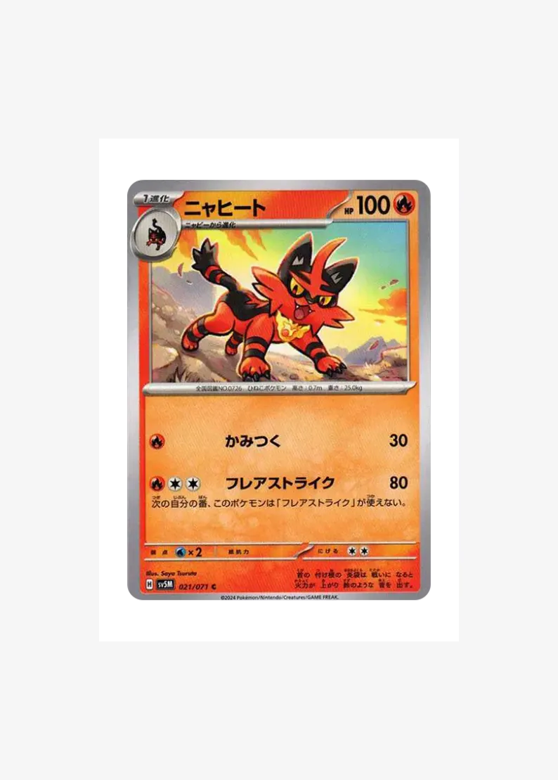 Torracat