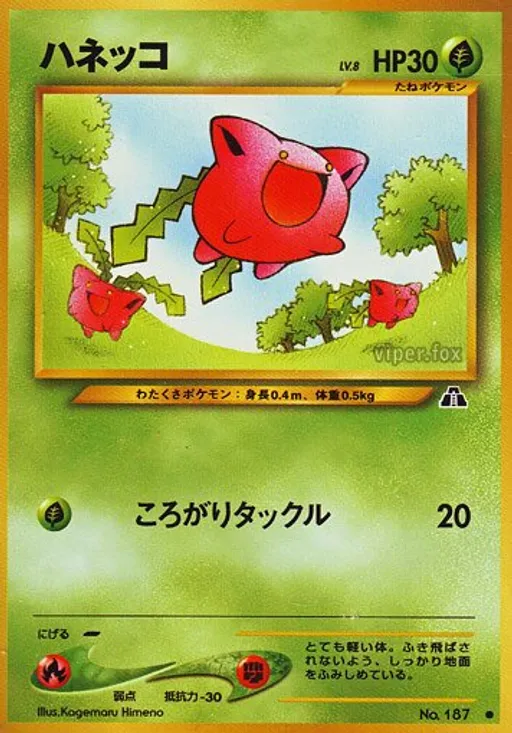 통통코