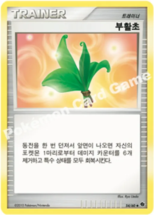 부활초