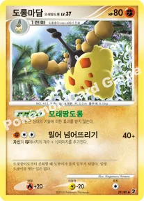 도롱마담 모래땅도롱