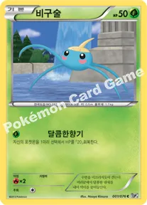 비구술