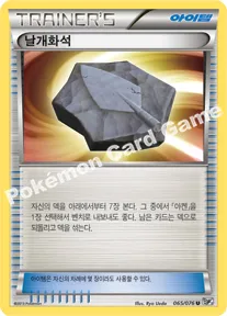 날개화석