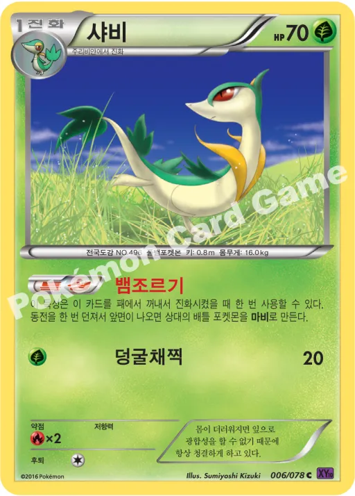 샤비