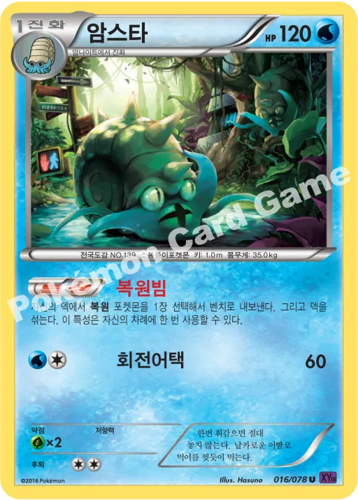 암스타