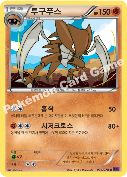 투구푸스