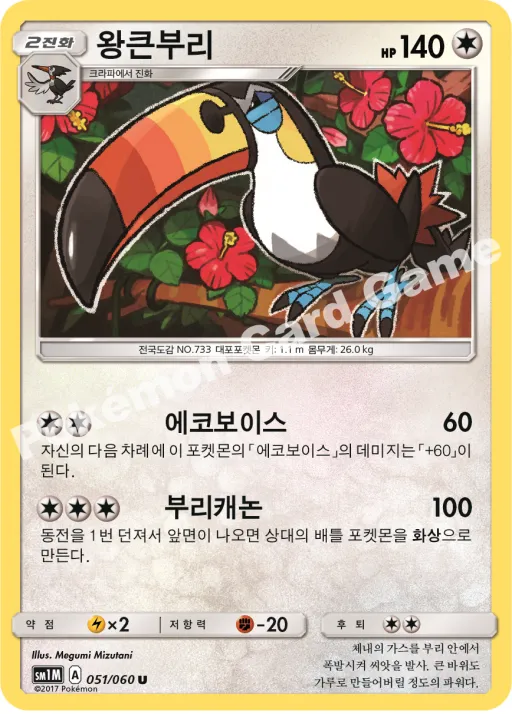 왕큰부리