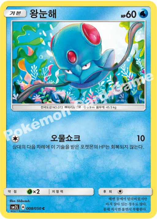 왕눈해