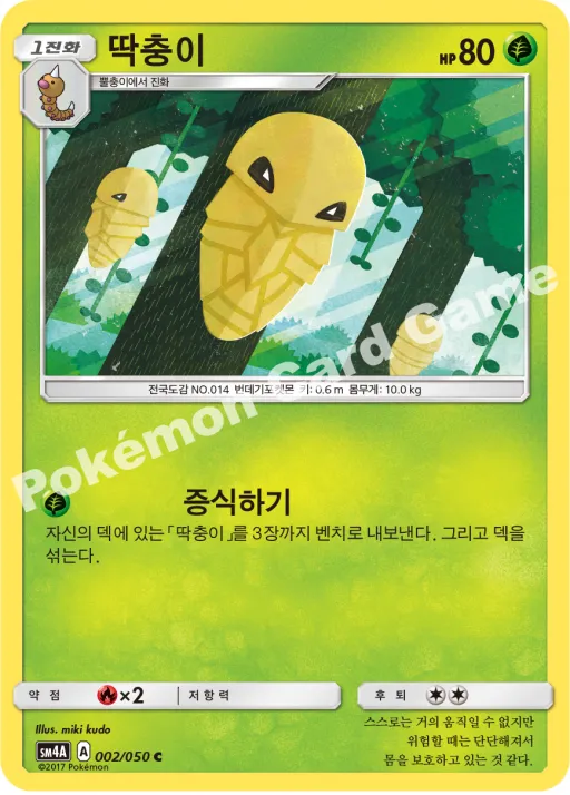 딱충이