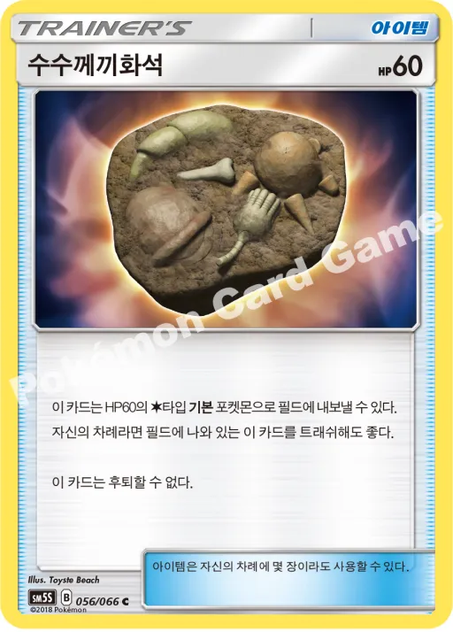 수수께끼화석