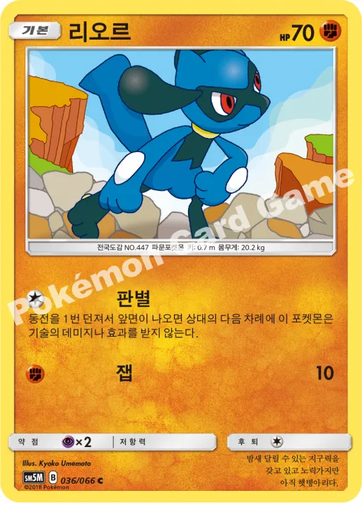 리오르