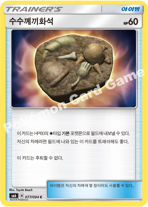 수수께끼화석