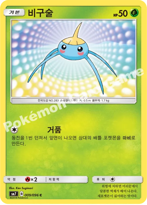 비구술