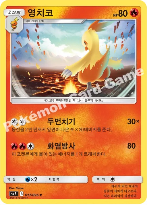 영치코