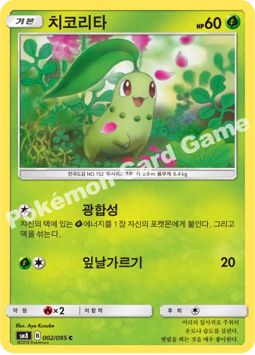 치코리타