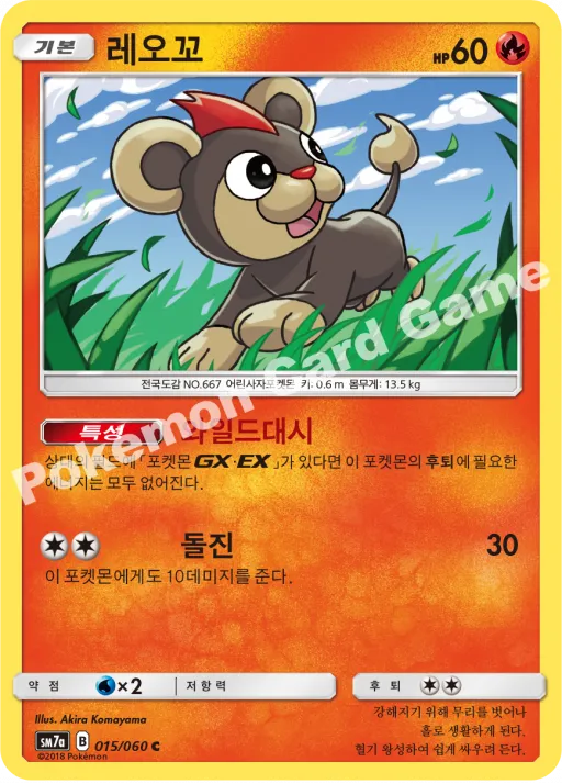 레오꼬