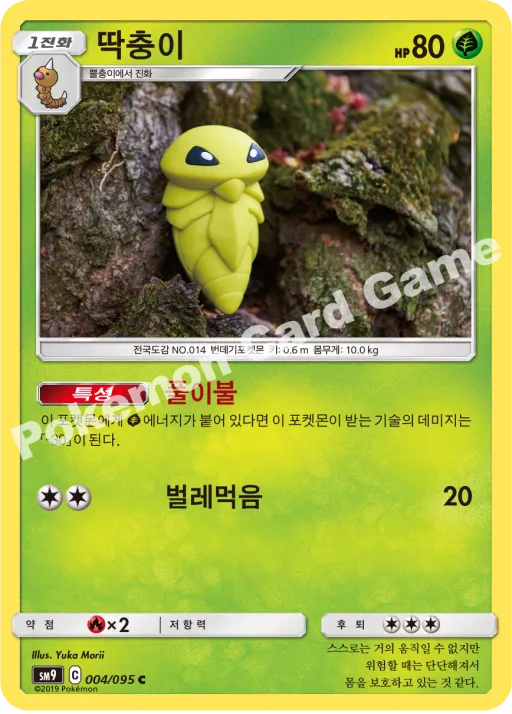 딱충이