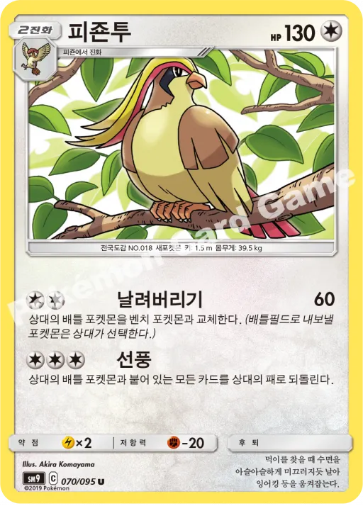 피죤투
