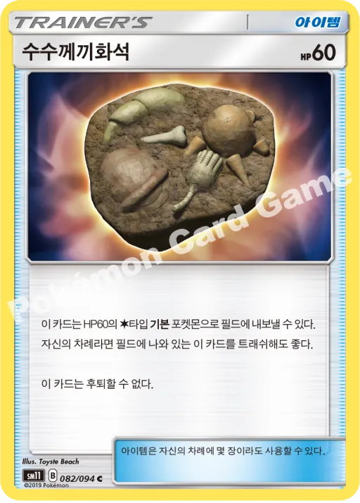 수수께끼화석